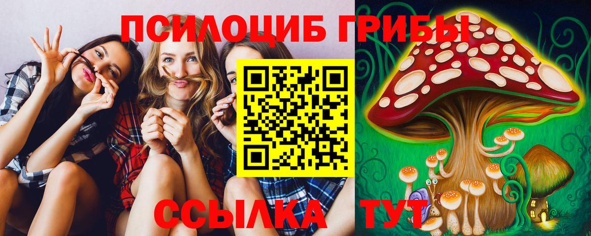 Городец  Псилоцибиновые грибы GOLDEN TEACHER  Вход с VPN 