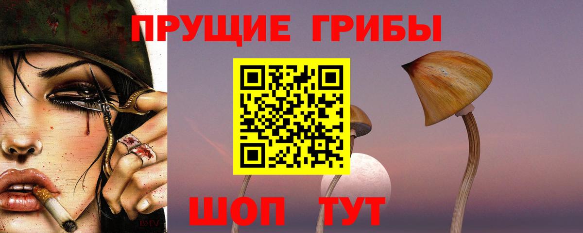 Псилоцибиновые грибы ЛСД Городец